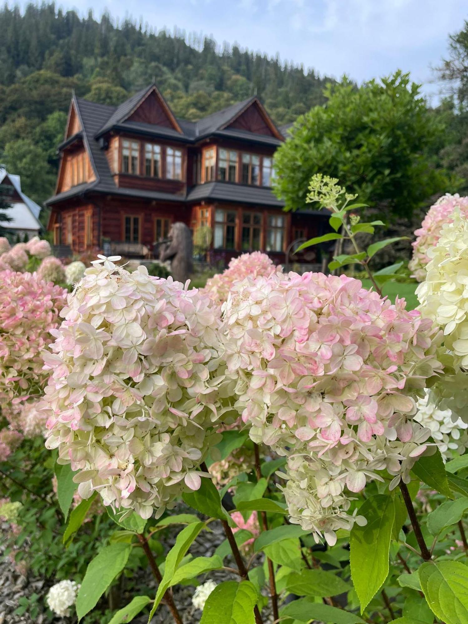 Niedzwiedzia Residence Poronin Dış mekan fotoğraf